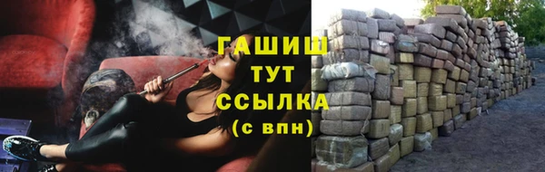 ГАЛЛЮЦИНОГЕННЫЕ ГРИБЫ Аркадак