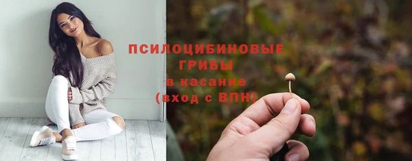 ГАЛЛЮЦИНОГЕННЫЕ ГРИБЫ Аркадак