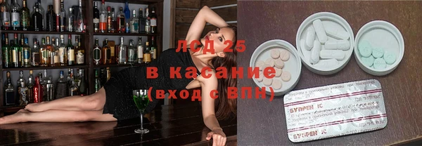 ГАЛЛЮЦИНОГЕННЫЕ ГРИБЫ Аркадак