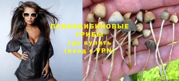ГАЛЛЮЦИНОГЕННЫЕ ГРИБЫ Аркадак
